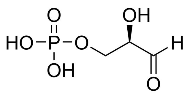 <sc>D</sc>-Glyceraldehyde 3-phosphate solution