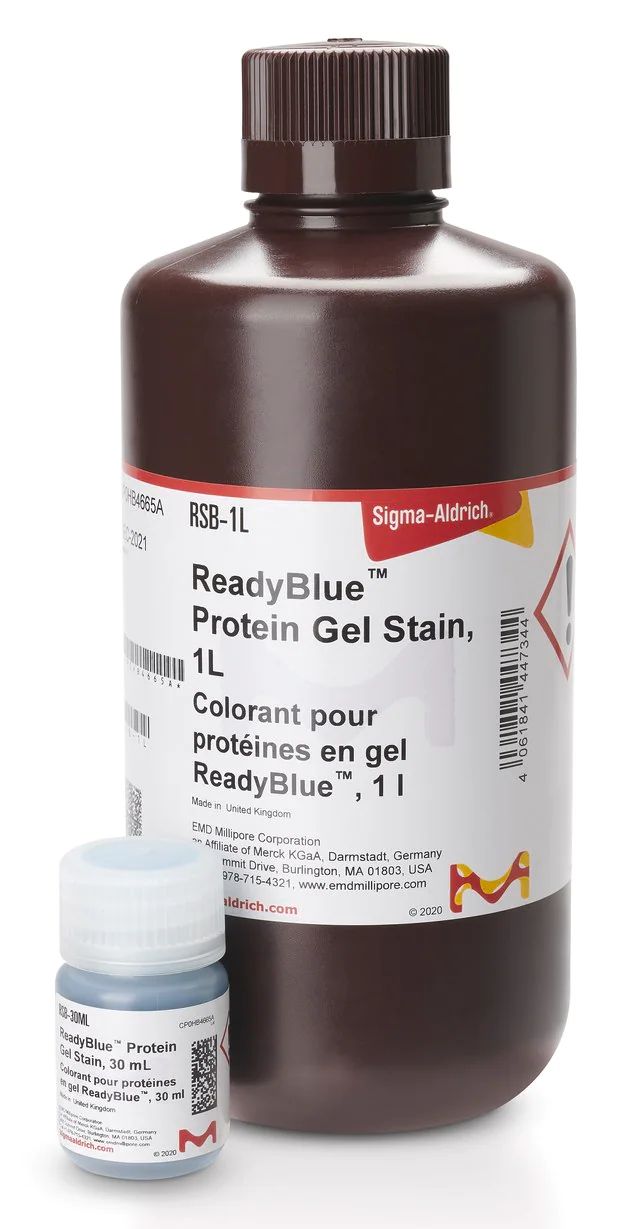 READYBLUE<sup>TM</sup> PROTEIN GEL STAIN