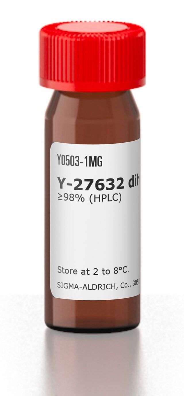 Y-27632 dihydrochloride