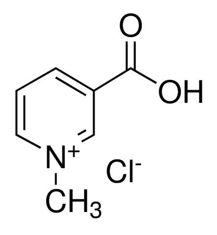 Trigonelline Hydrochloride