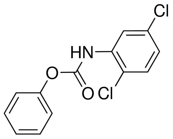 PHENYL N-(2,5-DICHLOROPHENYL)CARBAMATE