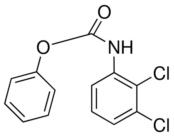 PHENYL N-(2,3-DICHLOROPHENYL)CARBAMATE