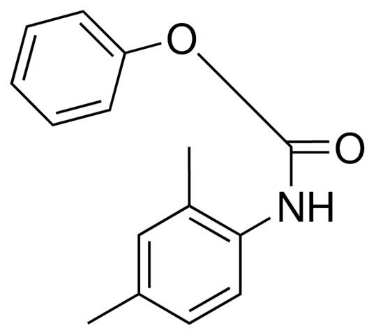 PHENYL N-(2,4-XYLYL)CARBAMATE