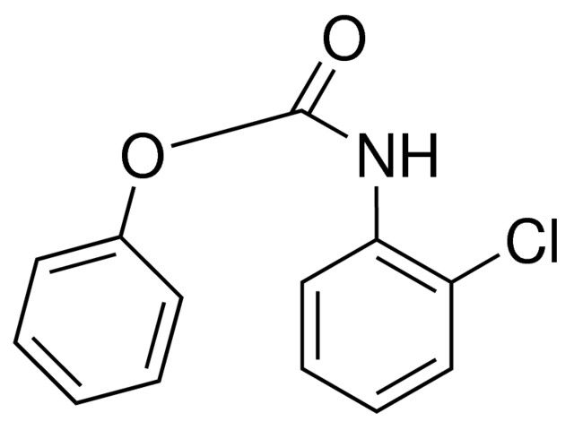 PHENYL N-(2-CHLOROPHENYL)CARBAMATE