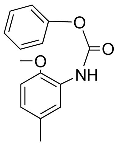 PHENYL N-(2-METHOXY-5-METHYLPHENYL)CARBAMATE