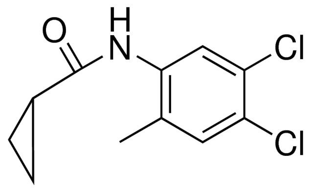 N-(4,5-DICHLORO-2-METHYLPHENYL)CYCLOPROPANECARBOXAMIDE