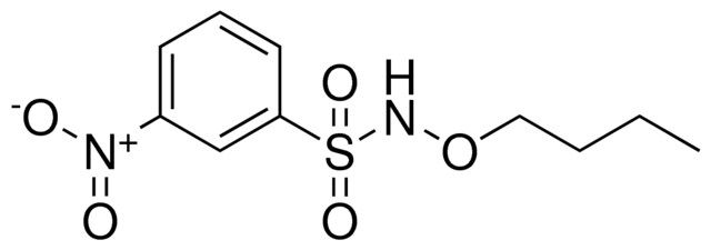 N-BUTOXY-3-NITRO-BENZENESULFONAMIDE