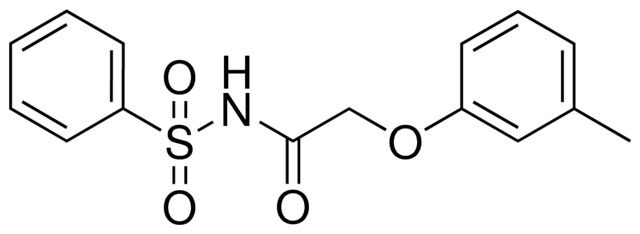 N-M-TOLYLOXYACETYL-BENZENESULFONAMIDE