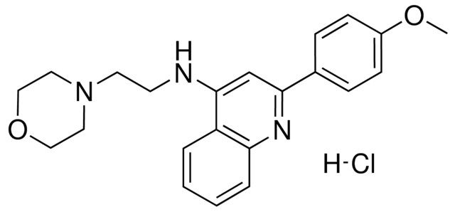 N-(2-(4-METHOXYPHENYL)-4-QUINOLINYL)-N-(2-(4-MORPHOLINYL)ETHYL)AMINE HYDROCHLORIDE