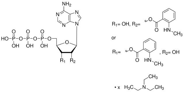 Mant-ATP triethylammonium salt solution