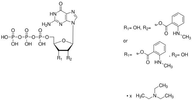 Mant-GTP triethylammonium salt solution