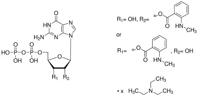 Mant-GDP triethylammonium salt solution