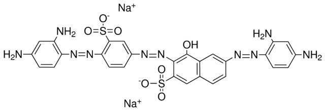 DIRECT BLACK 36 (C.I. 31665)