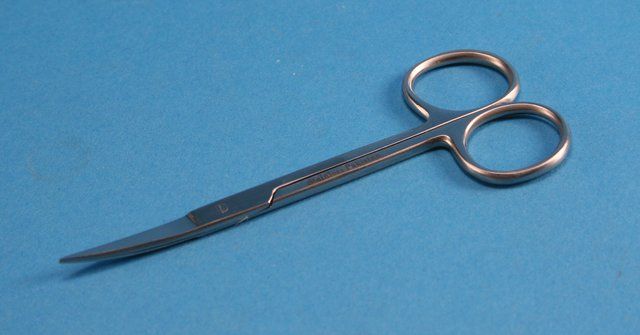 Dissecting scissors