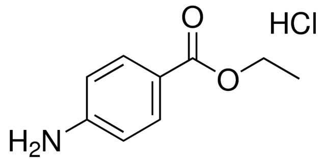 ETHYL 4-AMINOBENZOATE HYDROCHLORIDE