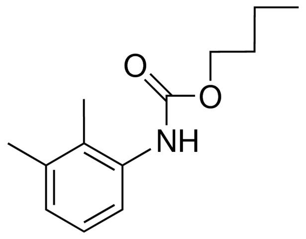 BUTYL N-(2,3-XYLYL)CARBAMATE