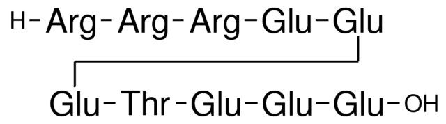 Arg-Arg-Arg-Glu-Glu-Glu-Thr-Glu-Glu-Glu