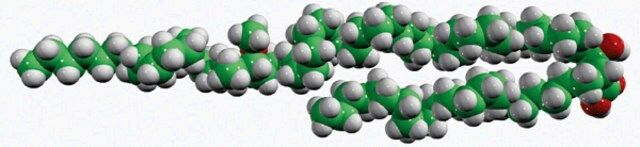 -mycolic acid, methoxy cis