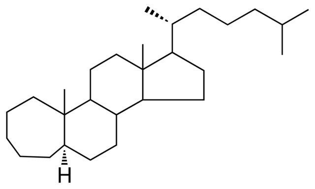 A-HOMO-5-ALPHA-CHOLESTANE