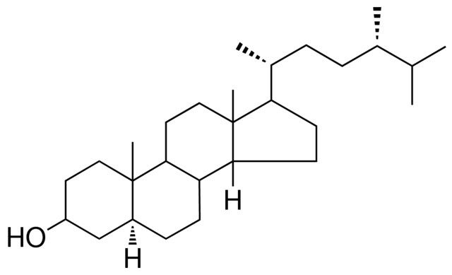 5-ALPHA-ERGOSTAN-3-BETA-OL