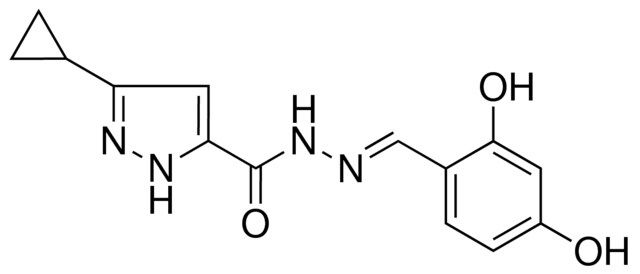 5-CYCLOPROPYL-2H-PYRAZOLE-3-CARBOXYLIC ACID (2,4-DIHYDROXY-BENZYLIDENE)HYDRAZIDE