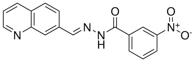 3-NITRO-BENZOIC ACID QUINOLIN-7-YLMETHYLENE-HYDRAZIDE