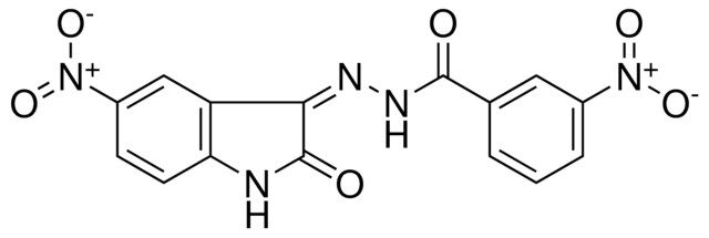 3-NITRO-BENZOIC ACID (5-NITRO-2-OXO-1,2-DIHYDRO-INDOL-3-YLIDENE)-HYDRAZIDE