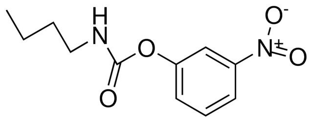 3-NITROPHENYL N-BUTYLCARBAMATE