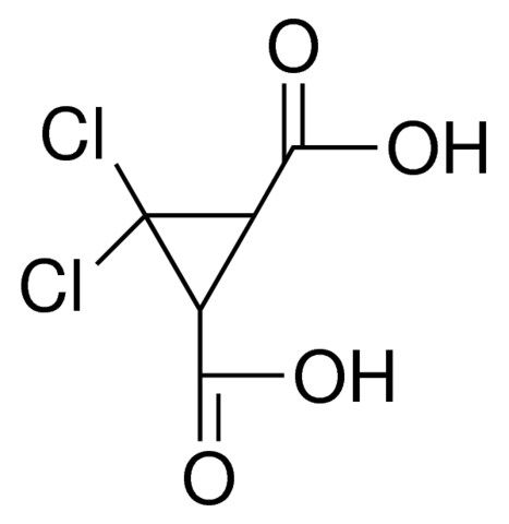 3,3-DICHLORO-CYCLOPROPANE-1,2-DICARBOXYLIC ACID