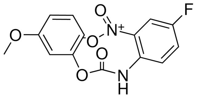 3-METHOXYPHENYL N-(4-FLUORO-2-NITROPHENYL)CARBAMATE