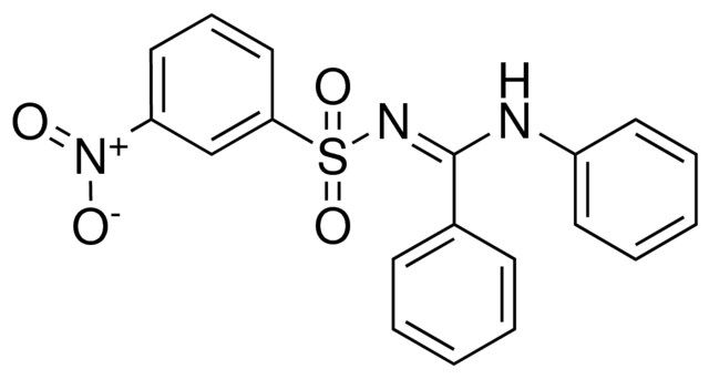 3-NITRO-N-(PHENYL-PHENYLAMINO-METHYLENE)-BENZENESULFONAMIDE