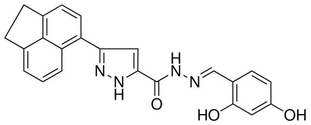 3-(1,2-DIHYDRO-5-ACENAPHTHYLENYL)-N'-[(E)-(2,4-DIHYDROXYPHENYL)METHYLIDENE]-1H-PYRAZOLE-5-CARBOHYDRAZIDE