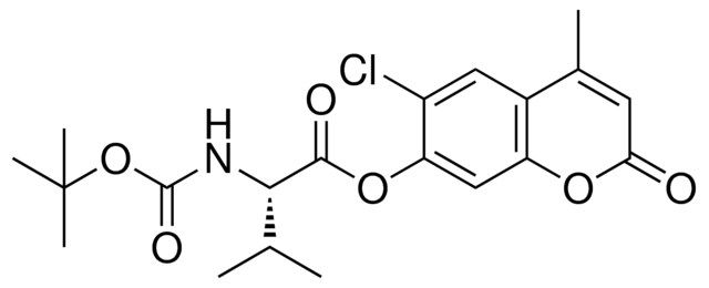 2-TERT-BUTOXYCARBONYLAMINO-3-ME-BUTYRIC ACID 6-CL-4-ME-2-OXO-2H-CHROMEN7YL ESTER