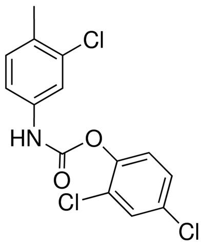 2,4-DICHLOROPHENYL N-(3-CHLORO-4-METHYLPHENYL)CARBAMATE