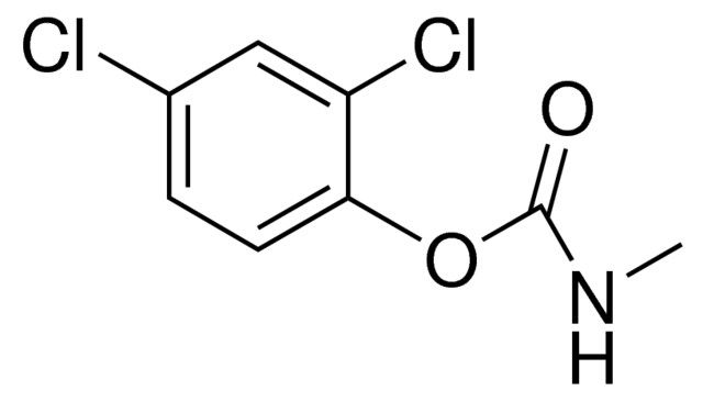 2,4-DICHLOROPHENYL N-METHYLCARBAMATE