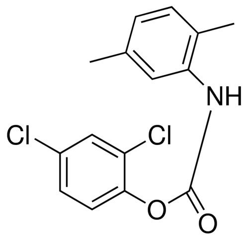 2,4-DICHLOROPHENYL N-(2,5-XYLYL)CARBAMATE