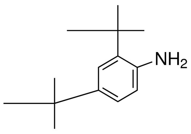 2,4-ditert-butylaniline