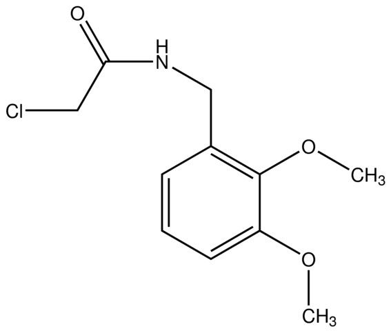 2-Chloro-<i>N</i>-(2,3-dimethoxybenzyl)acetamide