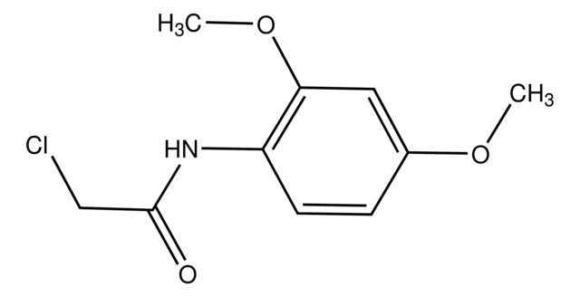 2-Chloro-<i>N</i>-(2,4-dimethoxyphenyl)acetamide