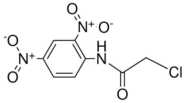 2-CHLORO-N-(2,4-DINITRO-PHENYL)-ACETAMIDE