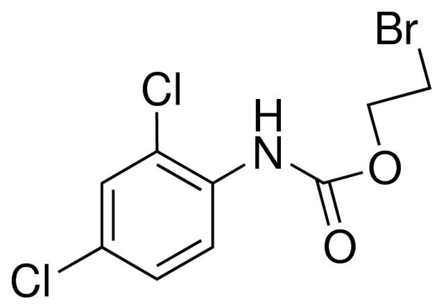 2-BROMOETHYL N-(2,4-DICHLOROPHENYL)CARBAMATE