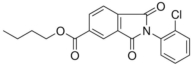 2-(2-CL-PHENYL)-1,3-DIOXO-2,3-DIHYDRO-1H-ISOINDOLE-5-CARBOXYLIC ACID BUTYL ESTER