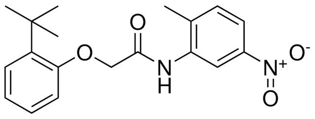 2-(2-TERT-BUTYL-PHENOXY)-N-(2-METHYL-5-NITRO-PHENYL)-ACETAMIDE