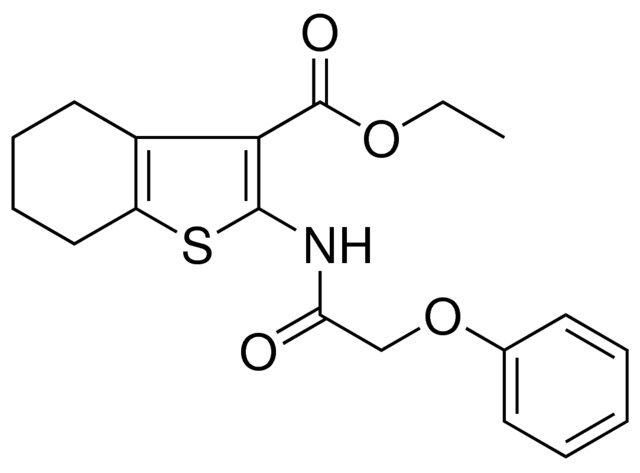 2-(2-PHENOXY-ACETYLAMINO)4,5,6,7-4H-BENZO(B)THIOPHENE-3-CARBOXYLIC ACID ET ESTER