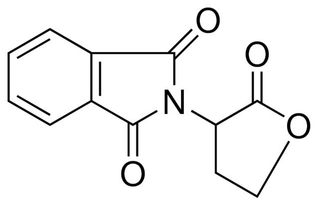 2-(2-OXO-TETRAHYDRO-FURAN-3-YL)-ISOINDOLE-1,3-DIONE