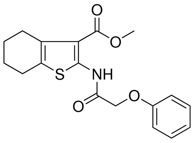 2-(2-PHENOXY-ACETYLAMINO)4,5,6,7-4H-BENZO(B)THIOPHENE-3-CARBOXYLIC ACID ME ESTER