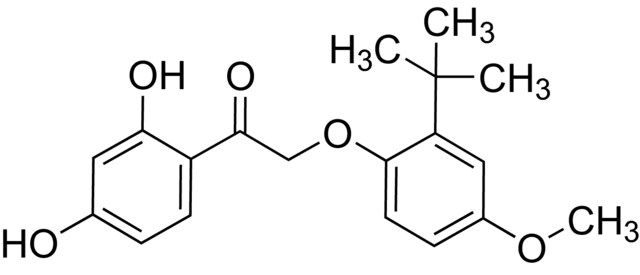 2-(2-<i>tert</i>-Butyl-4-methoxyphenoxy)-1-(2,4-dihydroxyphenyl)ethanone