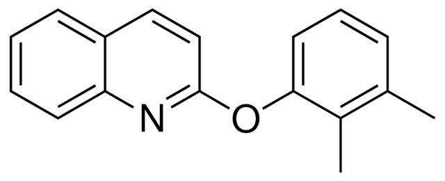 2-(2,3-dimethylphenoxy)quinoline