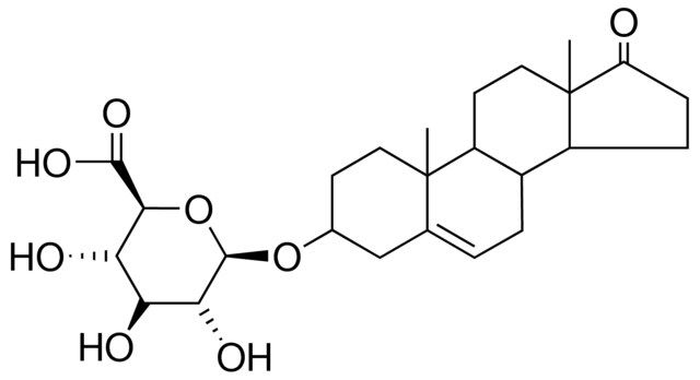 17-OXOANDROST-5-EN-3-BETA-YL-BETA-D-GLUCURONIDE