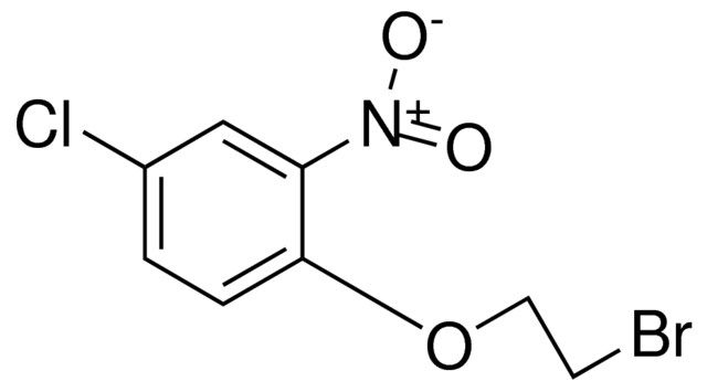 2-(2-BROMOETHOXY)-5-CHLORO-1-NITROBENZENE